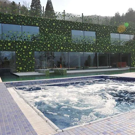 Rimske Terme - Zdraviliski Dvor Rimske Toplice