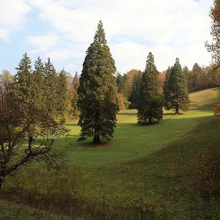 Rimske Terme - Zdraviliski Dvor