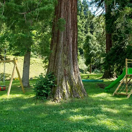 Rimske Terme - Zdraviliski Dvor 4*